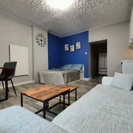 721 Slate Apartment Jedlina-Zdroj