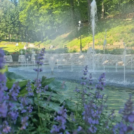 721 Slate イェドリナ・ズドルイ