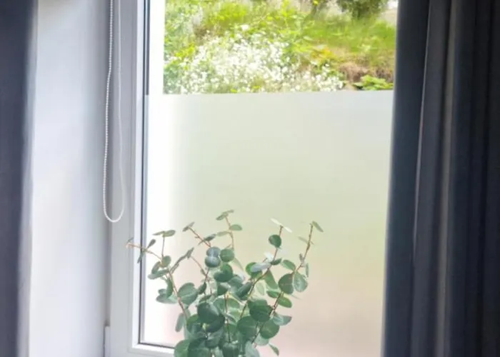 721 Slate * 예들리나-즈드로이