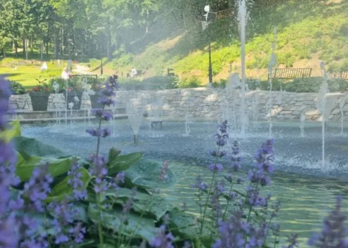 721 Slate 예들리나-즈드로이